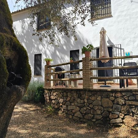 Casa Rural Alicia Кортегана Екстериор снимка