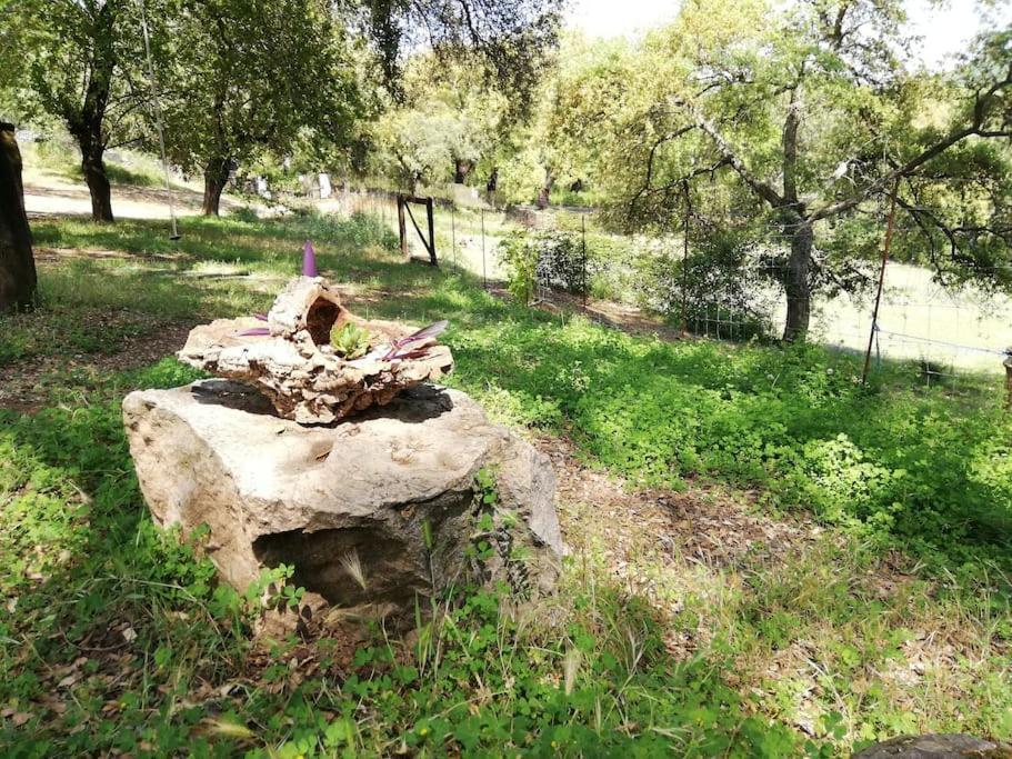 Casa Rural Alicia Кортегана Екстериор снимка